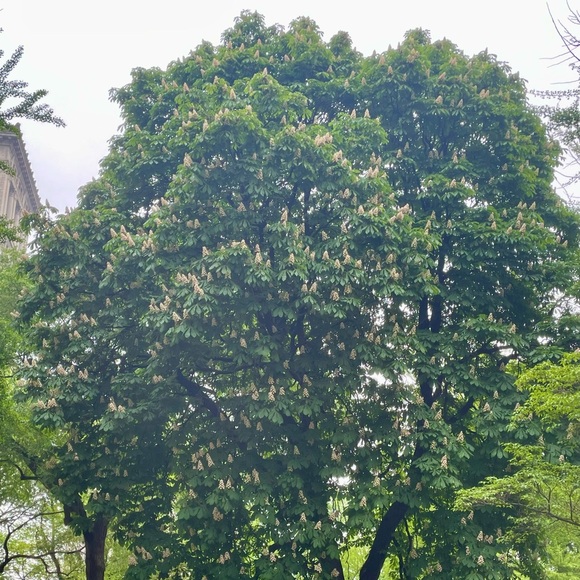 Meet the Posher - Picture 1 of 1